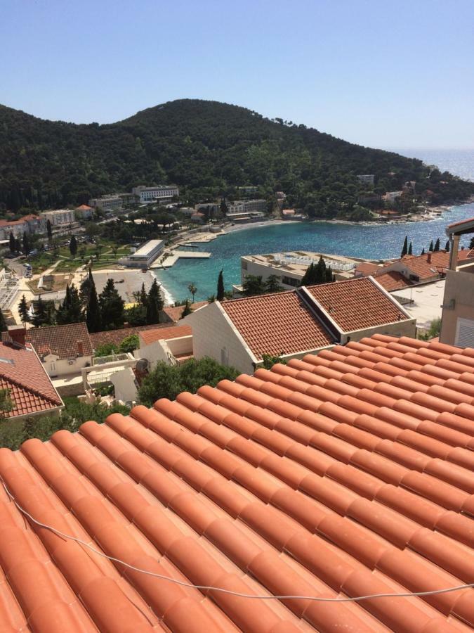Orchidea 1 * Dubrovnik